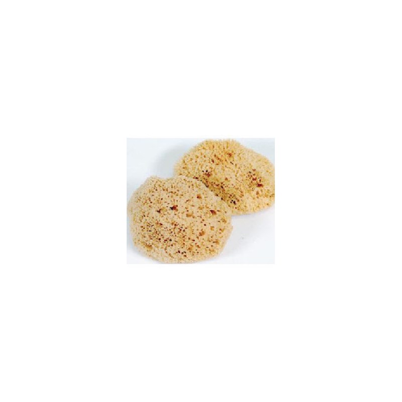 ProTool Sponge Mediterranean Large