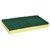 Sponge with Green Backing Pad