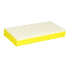 Sponge with White Backing Pad