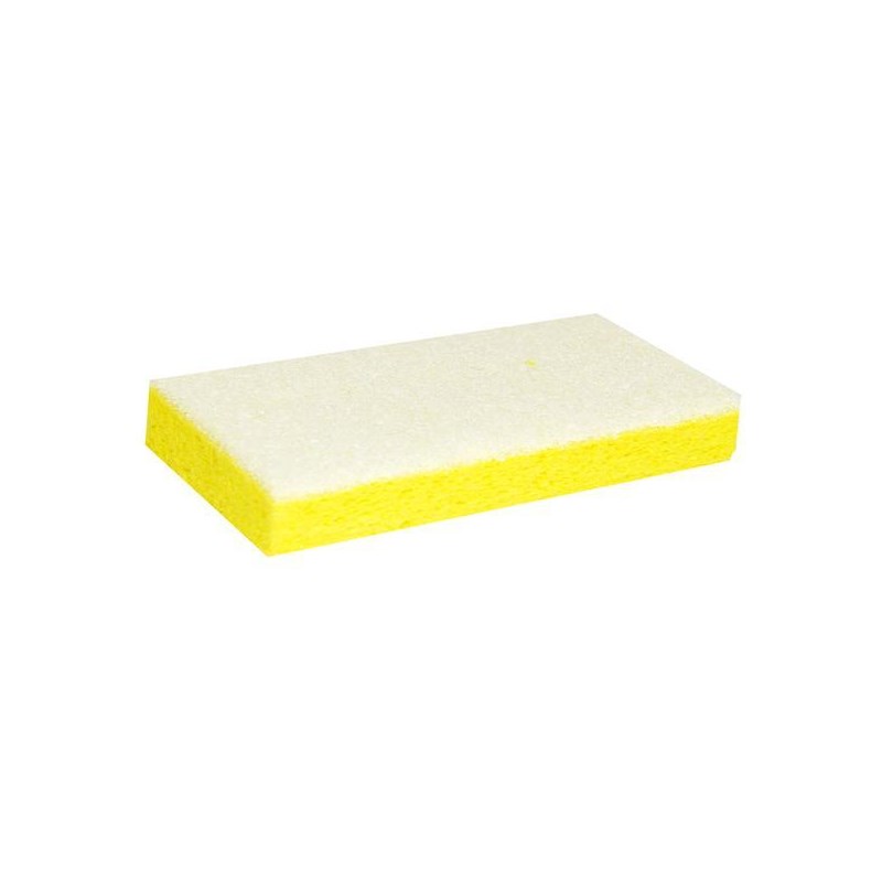 Sponge with White Backing Pad