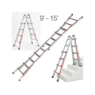 Ladder #17 Little Giant