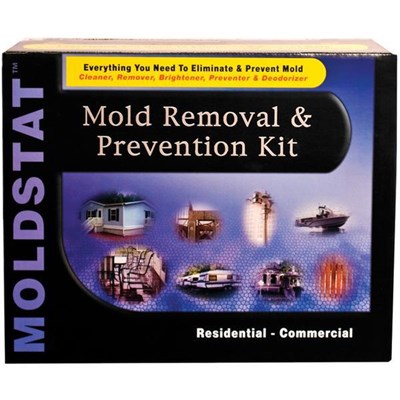 Moldstat Kit Mold Removal and Prevention