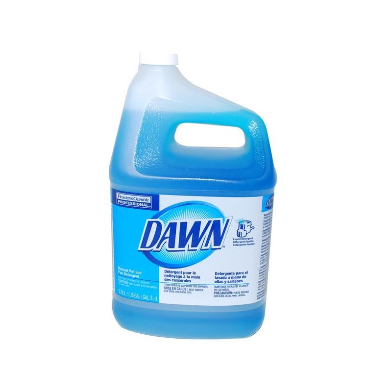 Dawn Dish Detergent Gal